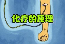 【TED-Ed】化疗的原理 | How does chemotherapy work?-器械之心