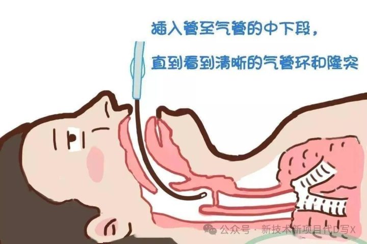 4ffce04d92a4d6c-25