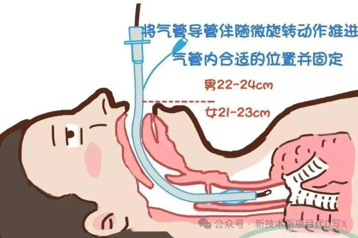 4ffce04d92a4d6c-26